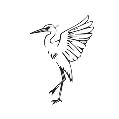 Fototapeta premium Night Heron Animal Symbol