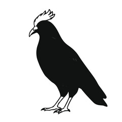 Nicobar Pigeon Illustration