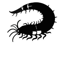 Black Nematode Animal