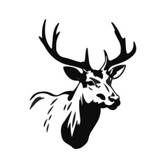Naklejka premium Black Mule Deer