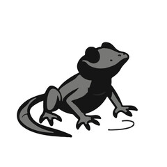 Black Mudskipper Illustration