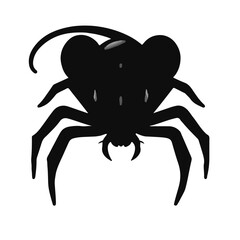 Mouse vs Spider Animal Conflict