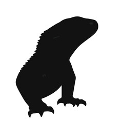 Monitor Lizard Illustration