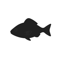 Black Milkfish Illustration
