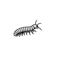 Black Millipede Illustration