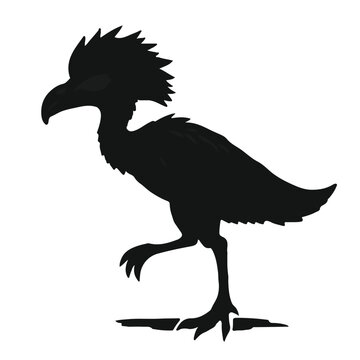 Microraptor Animal Illustration