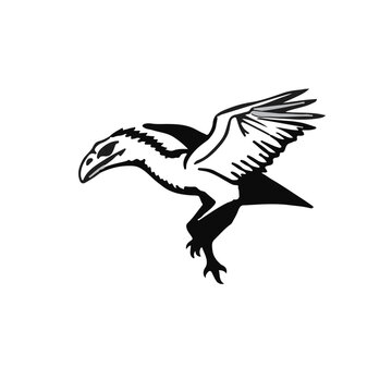 Microraptor PreHistoric Creature