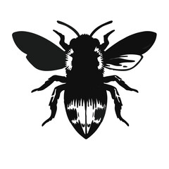 Mason Bee - Black