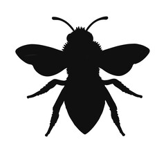 Mason Bee - Black
