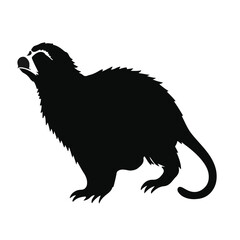 Black Marmoset Animal