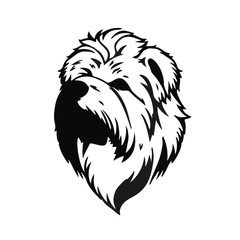 Maltese Black Pet