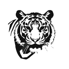 Malayan Tiger Illustration
