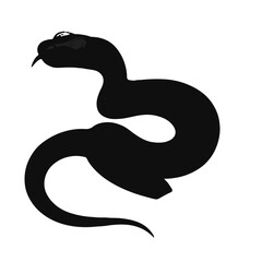 Malayan Krait Animal