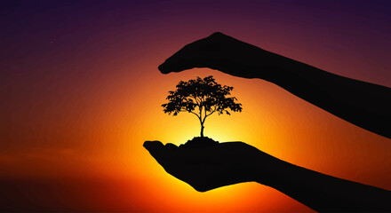 Silhouetted Hands Protecting a Young Tree at Sunset