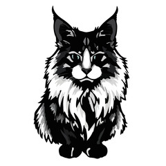 Black Maine Coon Cat