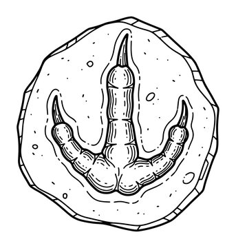 recommend clip art: Doodle Style Dinosaur Footprint Fossil Isolated on White