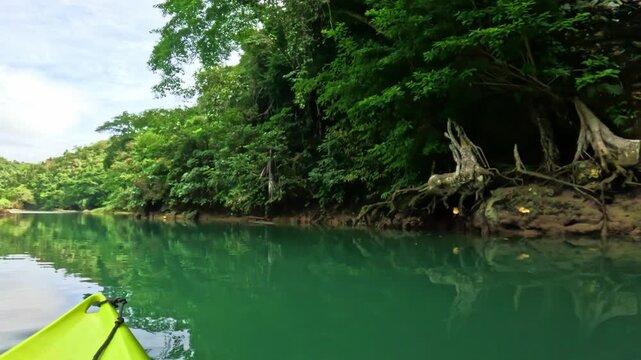 Peaceful kayaking moment by dense jungle riverbank on Lobok river in Bohol island, Philippines Kayak gliding past lush forested riverbank on Lobok river, Bohol island, Philippines