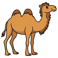 camel vector illustration