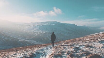 A solitary figure stands on a snowy mountaintop, gazing at a vast valley.