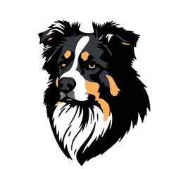 Australian Shepherd Picture