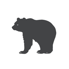 Fototapeta premium Asiatic Black Bear Image