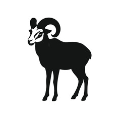 Aoudad Sheep