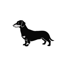 Alpine Dachshund Portrait