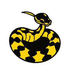 Yellow-Belly Ball Python