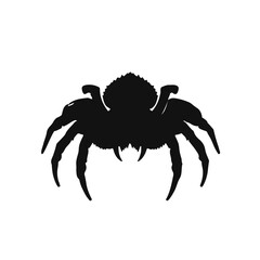 Black Wolf-Spider