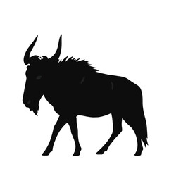Obraz premium Black Wildbeest Image