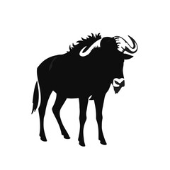 Black Wildebeest Illustration