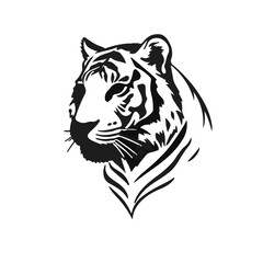 White Tiger Illustration