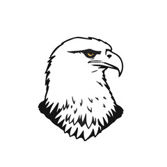 White-Tailed Eagle Illustration