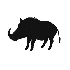Black-and-White Warthog