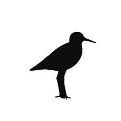 Obraz premium Upland Sandpiper - Black