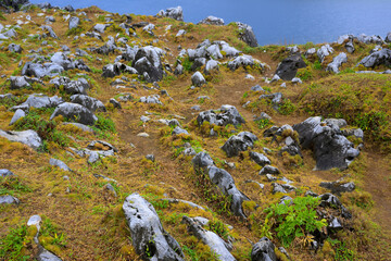沖縄県辺戸岬　サンゴ台地とサンゴ礁