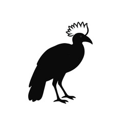 Black-and-White Turaco