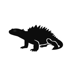 Tuatara Black and White