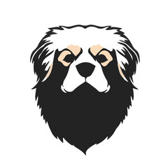 Tibetan Spaniel - Black