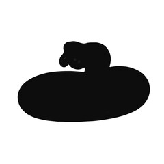 Black Texas Night Snake