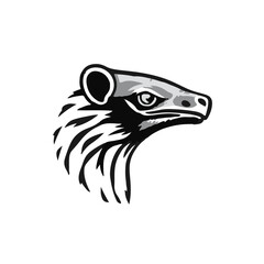 Black-and-White Tenrec