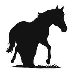 Walking Tennessee Horse