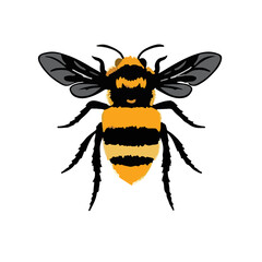 Tawny Mining Bee