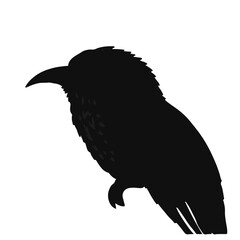 Tawny Frogmouth - Black