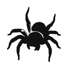 Black Tarantula Illustration