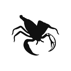Tailless Whip Scorpion