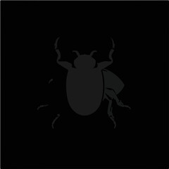 June Beetle Insect Illustration
