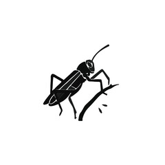 Black Cricket on Tree