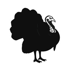 Black Turkey Animal