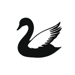 Fototapeta premium Black Tundra Swan